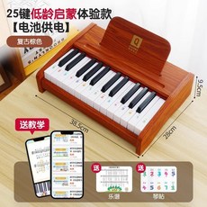 미니 피아노 25건 2옥타브 연습용, 25건반 레트로 브라운 (배터리)