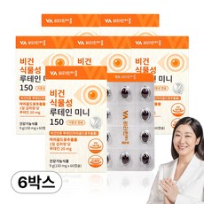 비타민마을 비건 식물성 루테인 미니, 60정, 6개
