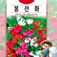 KS종묘 봉선화 150립 혼합 일년생 허브 꽃씨 씨앗 종자, 1개