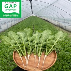 청년농장 싱싱 포천 열무 4kg 당일수확, 1개