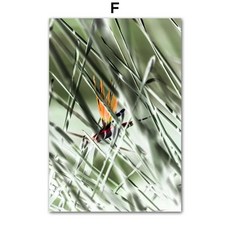 숲 버스 나무 인용문 녹색 풍경 벽 예술 캔버스 그림 북유럽 포스터 프린트 거실 집 꾸미기, 7. F