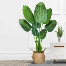 Itsok 인테리어 조화나무 조화인테리어, 아레카야자160cm