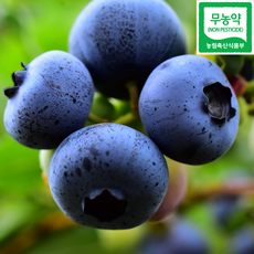 [한정특가/산지직송] 강원도 화천 국내산 프리미엄 무농약블루베리 냉동블루베리 대, 3개, 1kg