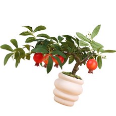 사실적인 과일나무 분재 인공 실내 장식 인조 화분 장식 레스토랑 테이블 센터피스, 사이즈 이미지 참고, 1개, 석류나무