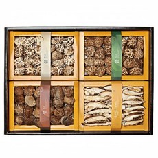 정남진 장흥 표고버섯 백화고 혼합특선 선물세트 550g, 1개