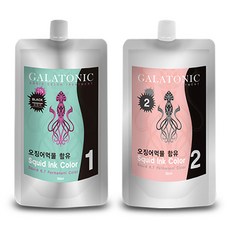갈라토닉 스퀴드 잉크칼라 새치염색제 1제 500ml 2제 500ml 2N 검정색 오징어먹물 염색약, 1개