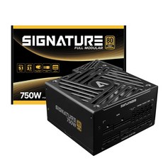 AONE 시그니처 750W 80PLUS골드 풀모듈러 ATX3.1 블랙, 선택하세요 선택하세요