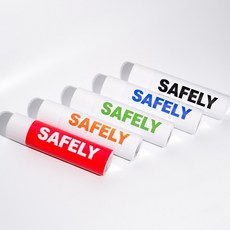 SAFELY 스프레이 소화기 차량용 가정용 주방용, 1개, 블랙, 500g
