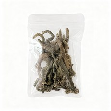 갯지렁이 동결건조10g 청개비 낚시미끼 건조청개비 낚시꿀템 간편 소포장, 5개, 10g