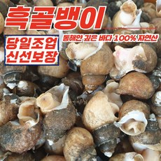 동해안 자연산 흑골뱅이 1kg (50-70미) [자숙급냉], 1개, 상세페이지 참조
