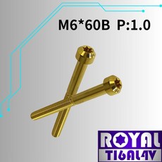 【瘋螺絲】ROYAL 鈦合金螺絲 M6*60B P:1.0 錐形螺絲 出貨附發票 四色可選, 1個, 土豪金