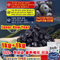1kg+1kg [서울 유명 안과 의사 추천] 무설탕 블루베리 건과일 무설탕 건블루베리 100%, 100g×프리미엄