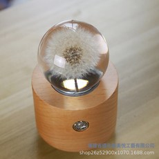 擺件高級感小衆蒲公英永生花夜燈八音盒觸控無極調光馬年桌面擺件, 可旋轉夜燈-生日快樂