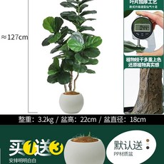 의류 매장 간이 조립식 행거 탈의실 간이행거 의류매장, W. 바이올린 리프 무화과 126cm 큰 배, W. 바이올린 리프 126cm