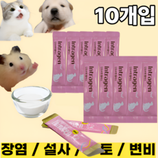 [인트라젠] 장염 설사 구토 변비 면역력강화 유산균 영양제 강아지 고양이 햄스터, 2g, 장건강/유산균, 10개