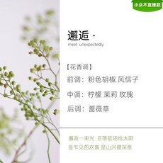 O 聖誕節無火香薰禮盒，生日禮物女生閨蜜小衆高級感實用禮品伴手禮新婚, 1個, 【花香調】邂逅