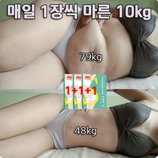 당일배송 12패치 다이어트 패치 지방부종제거 비만관리 지흡패치, 12매, 3개
