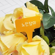 식물이름표 푯말