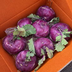 제주 콜라비 국내산 정품 로얄과 산지직송 10kg, 1박스, 5kg