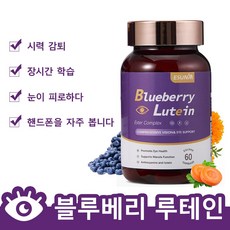 루테인 지아잔틴 눈건강 블루베리 추출물 시력 눈에좋은 눈이 피로하다 개선 식물 성캡슐 영양제, 1개, 60정