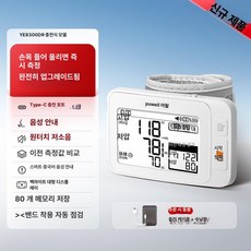 유니스웨이 손목혈압계 체크기 휴대용 혈압측정기 혈압기, YE8300DR 충전식 레벨 L 기능 충전 케이블, 1개, 1개입