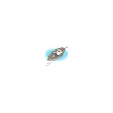 주머니 속 자연놀이 100