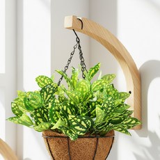 다용도 공간 절약 행거 행잉 우드 목재 나사 포함 벽걸이 후크 P171, 1개, 단일컬러