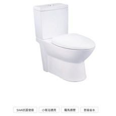 凱撒衛浴 二段式 羅馬通 馬桶