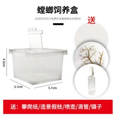 跳蛛 螳螂 爬蟲 PP飼養盒 專業盒 通風透氣 簡單實用 新款送攀爬紙, 1個, 5.7*5.7*4.2