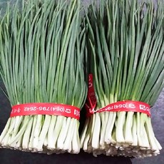 [재구매1위]당일 손으로 깐 국내산 손질 쪽파 약1kg내외, 1kg, 1개, 1kg