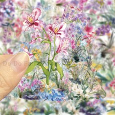 50PCS 높은 깨끗한 우아한 난초 식물 애완 동물 아트 스티커 투명 방수 오일 증거 크리 에이 티브 장식 전, 01 50PCS