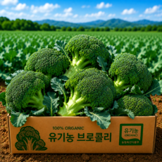 [산지직송] 국내산 유기농 브로콜리 특품, 1박스, 1kg