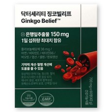 닥터세리티 징코빌리프 600mg X 60정 1박스 은행잎 추출물 징코 혈행 영양제