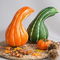 가을 호박 모형(24cm)-가을인테리어 장식 가을환경구성 디스플레이소품 홈데코 인테리어 꾸미기 감성 분위기 소품 데코 야채 채소, 오렌지