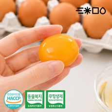 삼초마을 난각번호 2번 동물복지 무항생제 유정란 계란, 1개, 20구