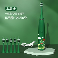 【無品牌】-爆款聲波式牙刷電動軟毛電動牙刷充電式兒童電動牙刷禮品, 1個, 【6刷頭】, 【水晶綠】充電款