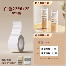 精臣 B21_Pro/B31 專用標籤紙, 1個, 白6*22/2-B21PRO/B31專用