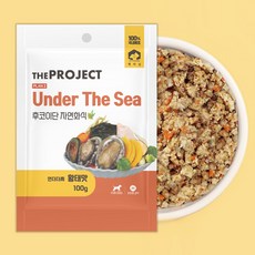 펫러닝 강아지 더프로젝트 PLAN2 언더더씨 후코이단 자연화식, 황태맛, 100g, 1개