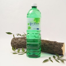 청정지역 울릉도 산천초목의 우산고로쇠, 1.5L, 6개