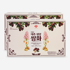 동화약품 부채표 대추 생강 쌍화, 20개, 120ml