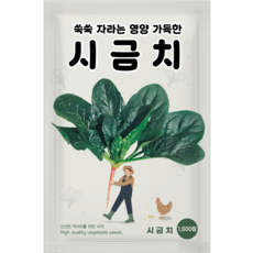 NH농우바이오 쑥쑥 자라는 영양 가득 시금치 씨앗 1500립, 4개