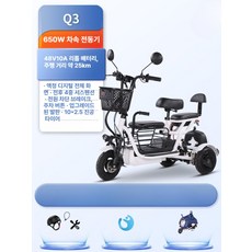 접이식 전동 삼륜 스쿠터 소형 이동형 배터리 경량 폴딩 전기카트, 1개, Q3 3인승 48V 10A 650W 25km, 48V