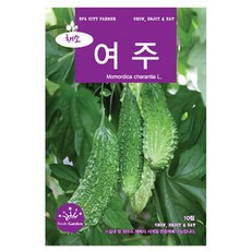 여주 10립 / 여주씨앗 여주씨 여주 종자, 2개