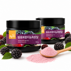 토종마을 발효복분자농축분말 국산 고창산, 120g, 2개