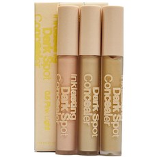 더페이스샵 잉크래스팅 다크스팟 컨실러 5g, 1개, 0.5 핑라이트