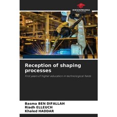 (영문도서)Reception of shaping processes Paperback, Our Knowledge Publishing, English, 9786209910081