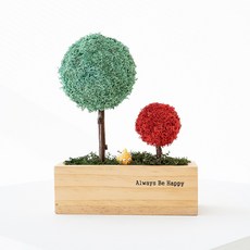 스칸디아모스 천연이끼 투게더 모스 트리, 퍼시픽그린, 1개