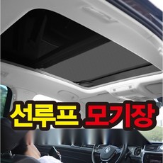 차량용 선루프 자석 방충망 전차종 호환 모기장 차박 캠핑용, 100cm 65cm