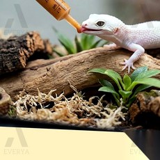 파충류 도마뱀 먹이 피딩주사기 뱀먹이, 오렌지
