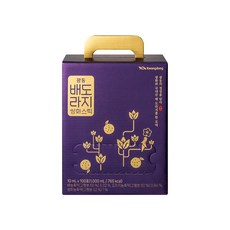 광동 배도라지 쌍화 스틱, 10ml, 100개